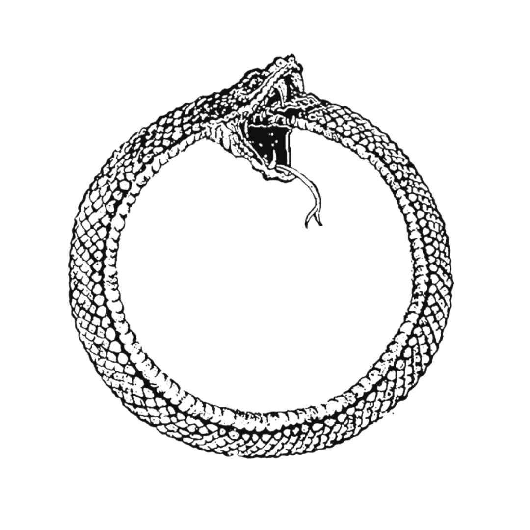 Comendo o próprio rabo